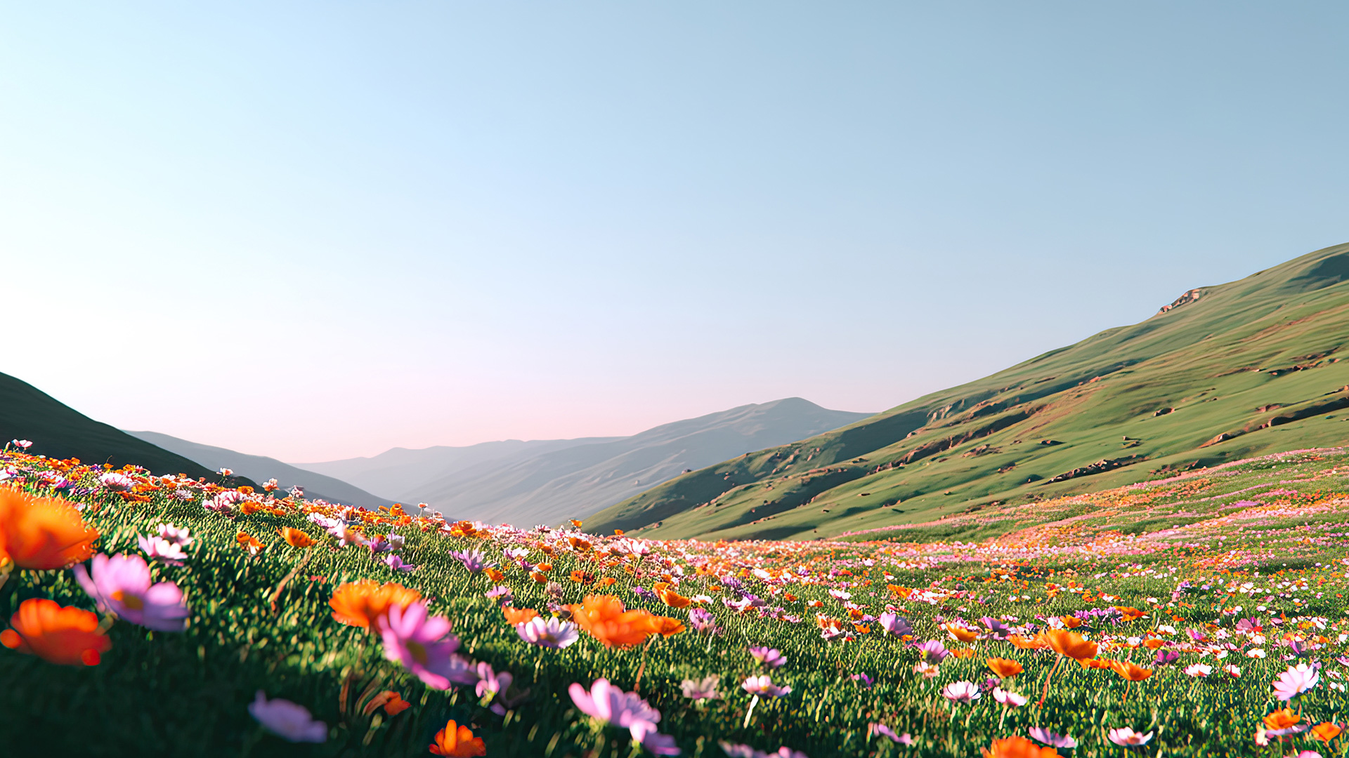 Field of vibrant wildflowers background decoration
